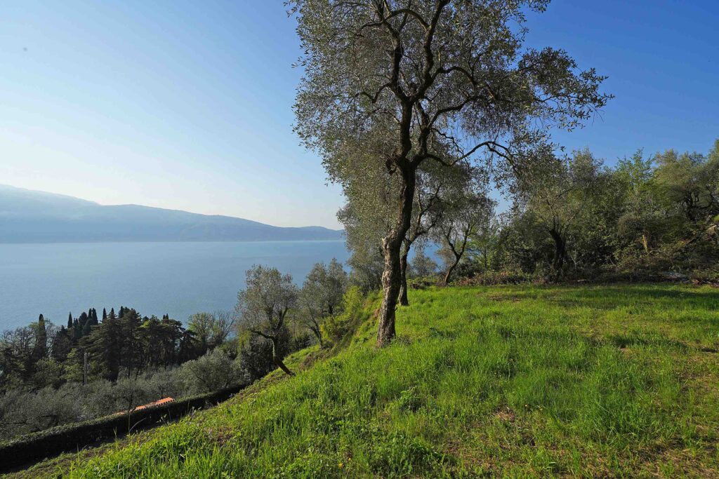 Terreno e vista lago