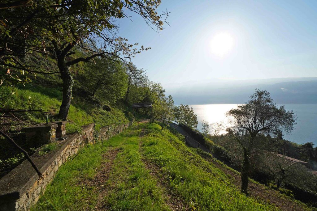 Terreno e vista lago