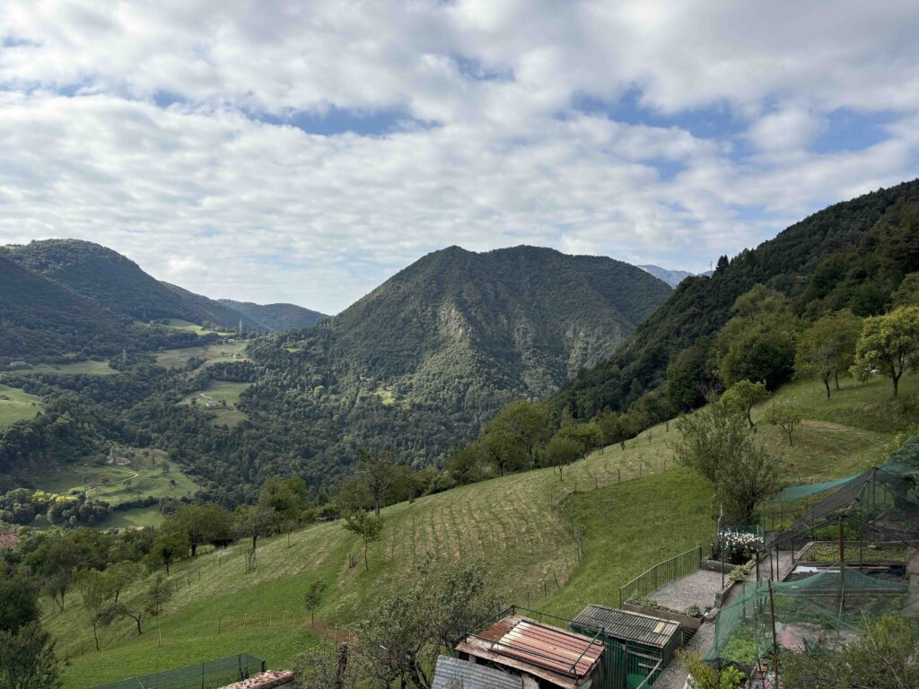 Vista dalle finestre