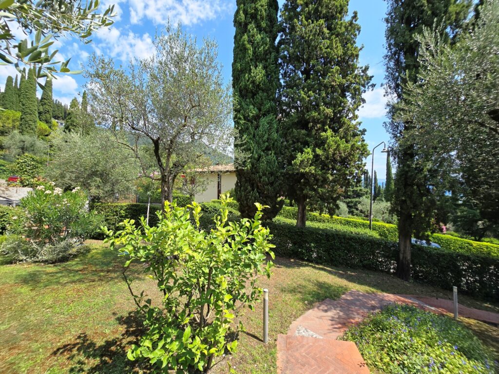 1105 Ingresso e giardino